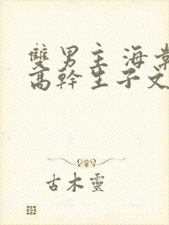 双男主 海棠 高干生子文