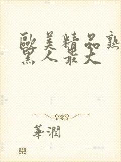 欧美精品熟妇乱黑人最大