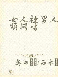 女人被男人插视频网站