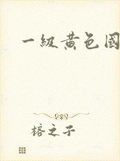 一级黄色国大片