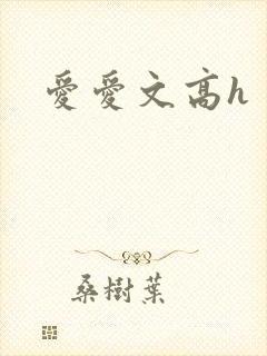 爱爱文高h