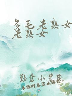 多毛老熟女欧美老熟女