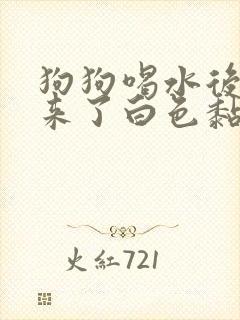 狗狗喝水后吐出来了白色黏液