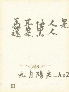 马耳他人是白人还是黑人