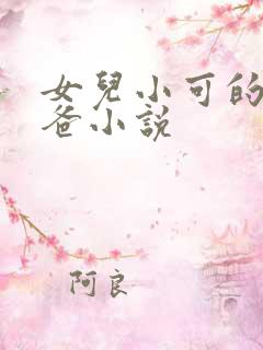 女儿小可的奶爸爸小说