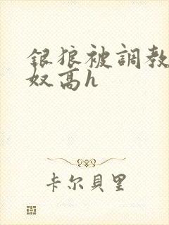 银狼被调教成肉奴高h