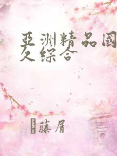 亚洲精品国产久久综合