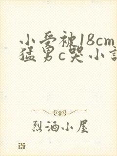 小受被18cm猛男c哭小说