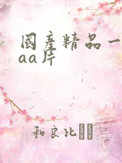 国产精品一级aaa片