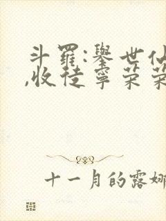 斗罗:举世仙师,收徒宁荣荣