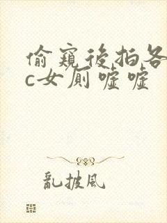 偷窥后拍各类wc女厕嘘嘘