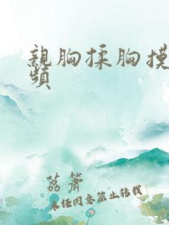 亲胸揉胸摸下视频