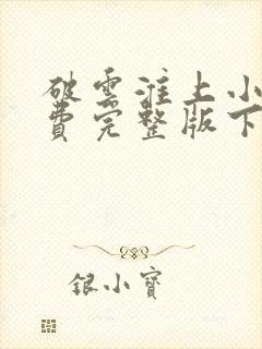 破云淮上小说免费完整版下载