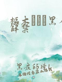 枢木あおい黑人解禁