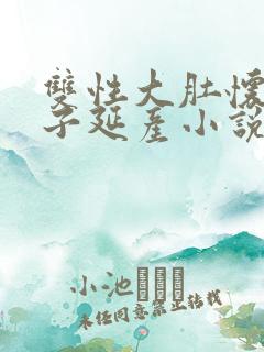 双性大肚怀孕产子延产小说大肚孕夫