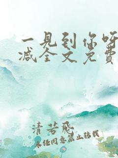 一见到你呀无删减全文免费阅读