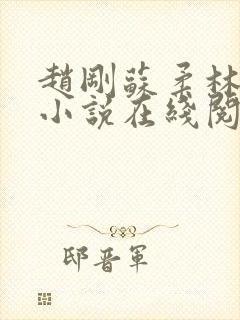 赵刚苏柔林风的小说在线阅读无弹窗免费阅读