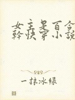 女主是百合的高干快穿小说