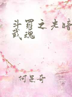 斗罗之光暗双生武魂