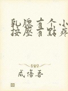 乳腺有个小疙瘩按压有点疼