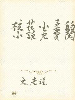 校花小柔的悲哀小说免费阅读