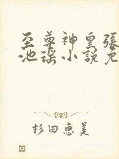 至尊神皇张若尘池瑶小说免费阅读