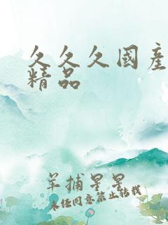 久久久国产午夜精品