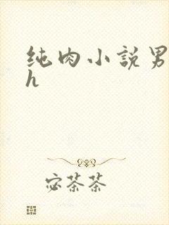 纯肉小说男男高h