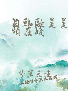 日韩欧美美女视频在线