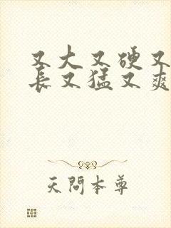 又大又硬又粗又长又猛又爽的国产视频