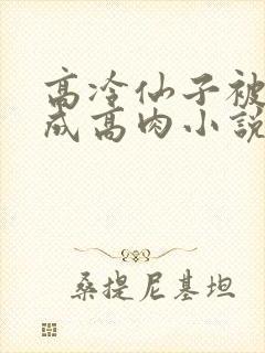 高冷仙子被调教成高肉小说