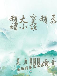 赵大宝赵勇和苏媚小说