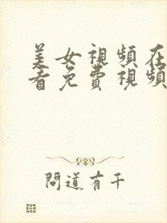 美女视频在线观看免费视频网