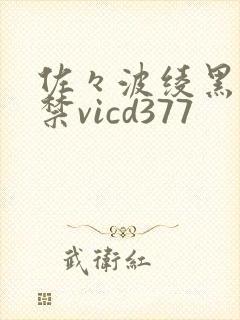 佐々波绫黑人解禁vicd377