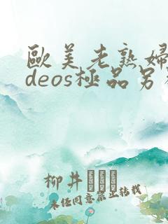 欧美老熟妇videos极品另类