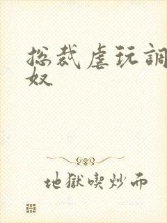 总裁虐玩调教奶奴