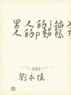 男人的j插入女人的p动态视频