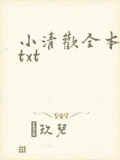 小清欢全本番外txt