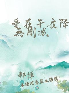 爱在午夜降临前 无删减
