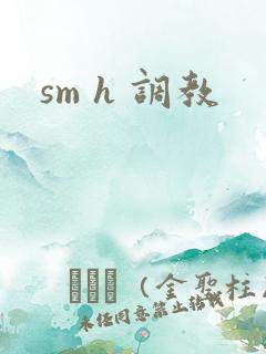 sm h 调教