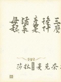 母猪产后三天不起来是什么原因