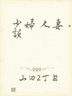 少妇 人妻 小说