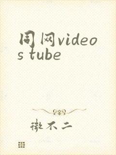同网videos tube