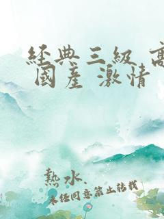 经典三级 高清 国产 激情