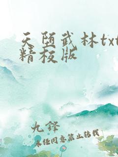 天堕武林txt精校版