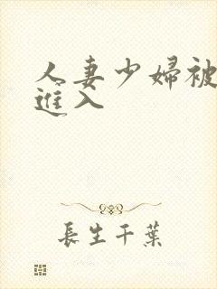 人妻少妇被猛烈进入