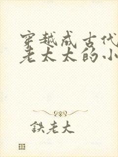 穿越成古代农家老太太的小说