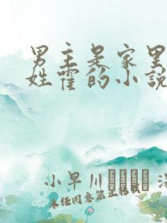 男主是家里老三姓霍的小说