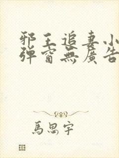 邪王追妻小说无弹窗无广告