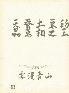 天蚕土豆的新作品万相之王